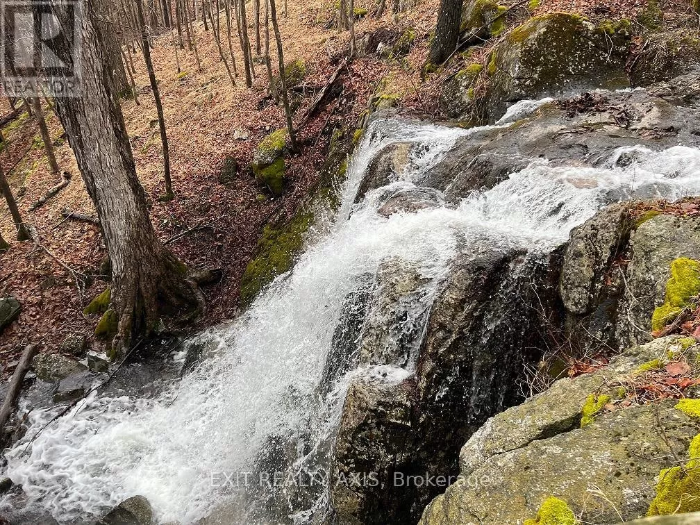 00 North Shore Road, Rideau Lakes, Ontario K0G 1X0