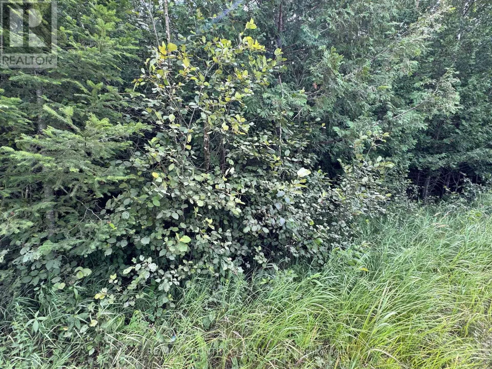 00 Schimmens Road, Brudenell, Lyndoch and Raglan, Ontario K0J 2E0