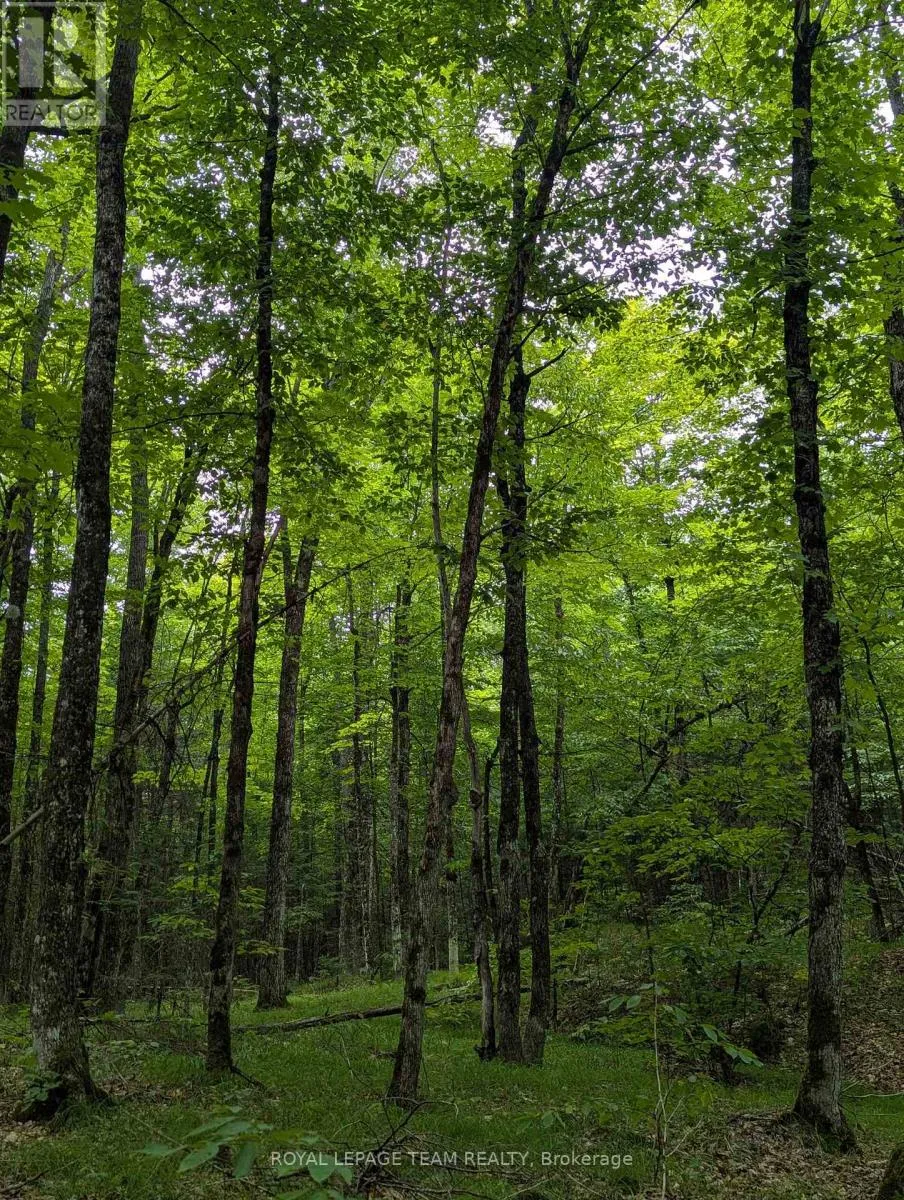 00 Triple Tower Road, Lanark Highlands, Ontario K0G 1K0