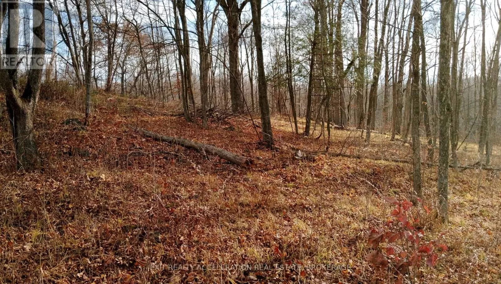 00 Tryon Road, Central Frontenac, Ontario K0H 2P0