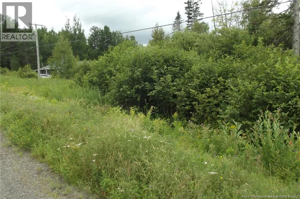 000 620 Route, Tay Creek, New Brunswick E6B 1K5