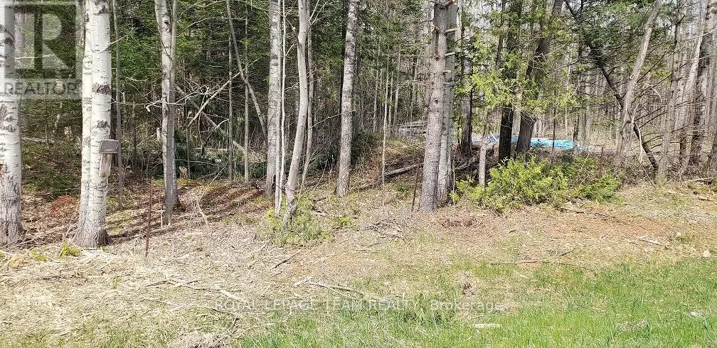 000 Burnstown Road W, McNab/Braeside, Ontario K0A 3L0