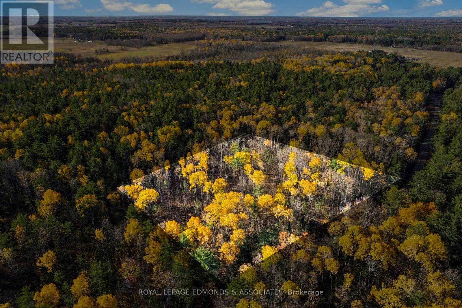 000 Nangor Trail, Whitewater Region, Ontario K0J 2L0