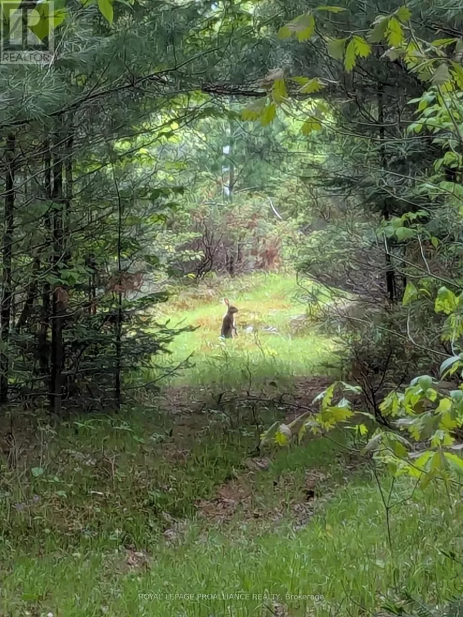 0000 Highway 7, Addington Highlands, Ontario K0H 1Z0