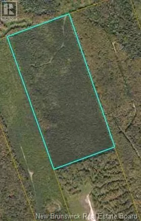0000 Lot Carty Mountain Woodland, Elgin, New Brunswick E4Z 1N3