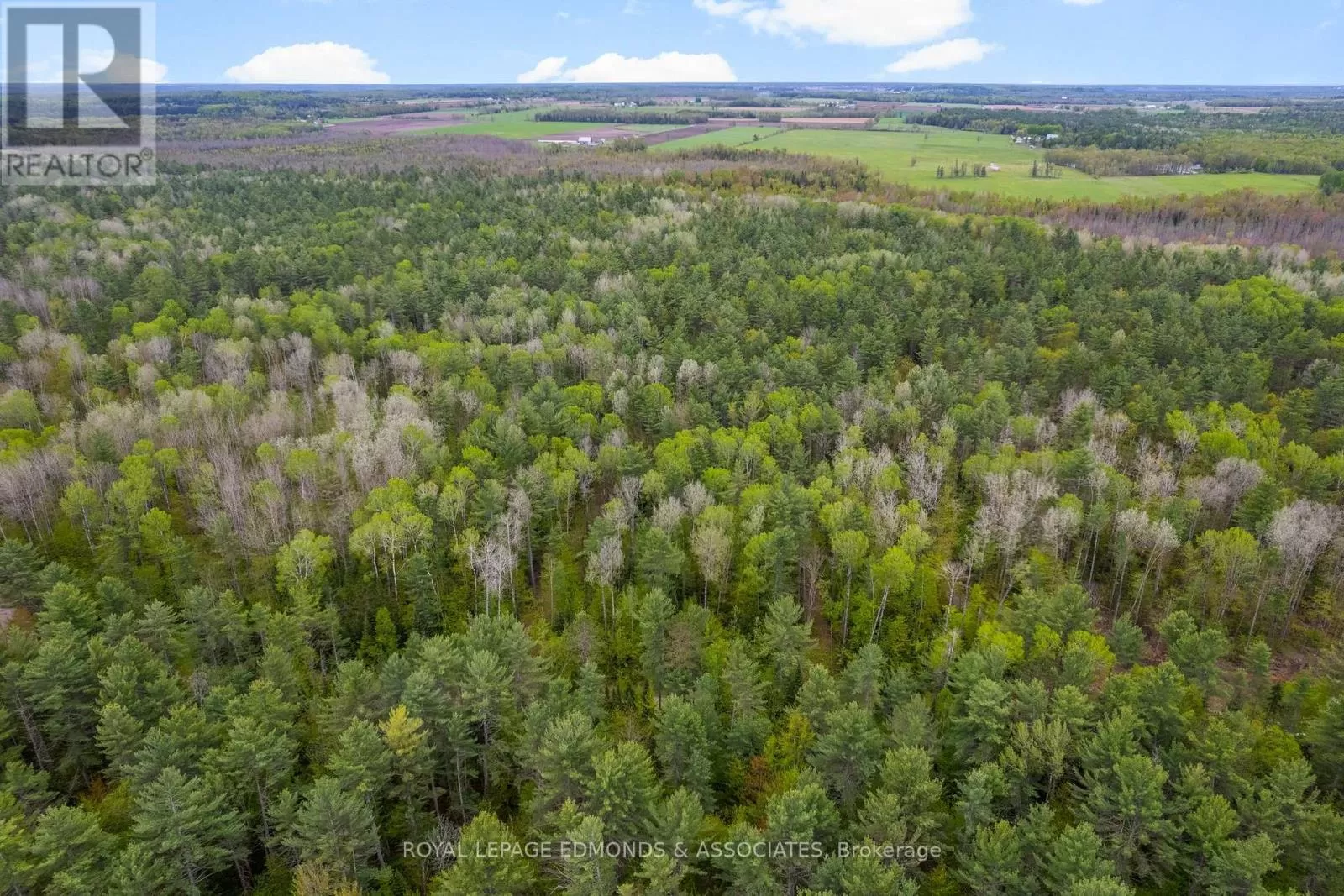 0000 Nangor Trail, Whitewater Region, Ontario K0J 2L0