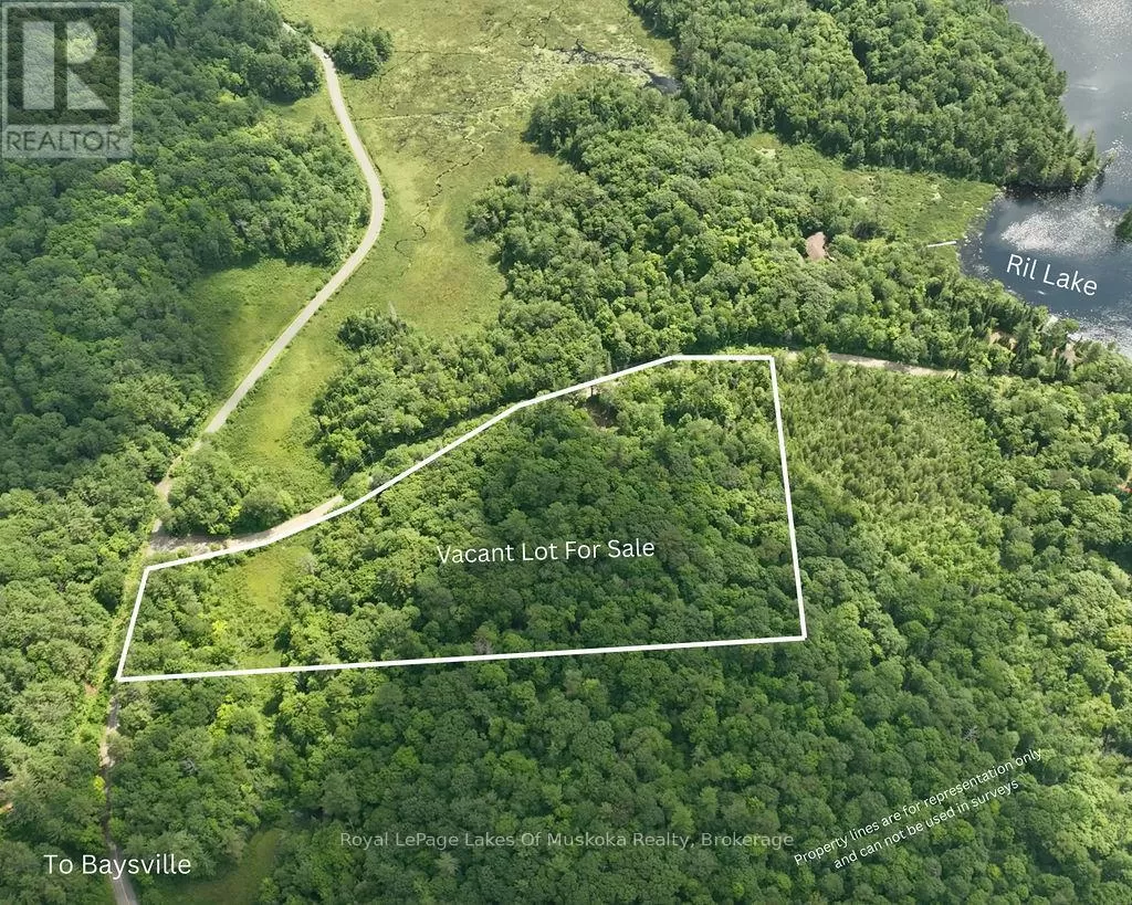 0000 Ril Lake Road, Lake of Bays, Ontario P0B 1A0