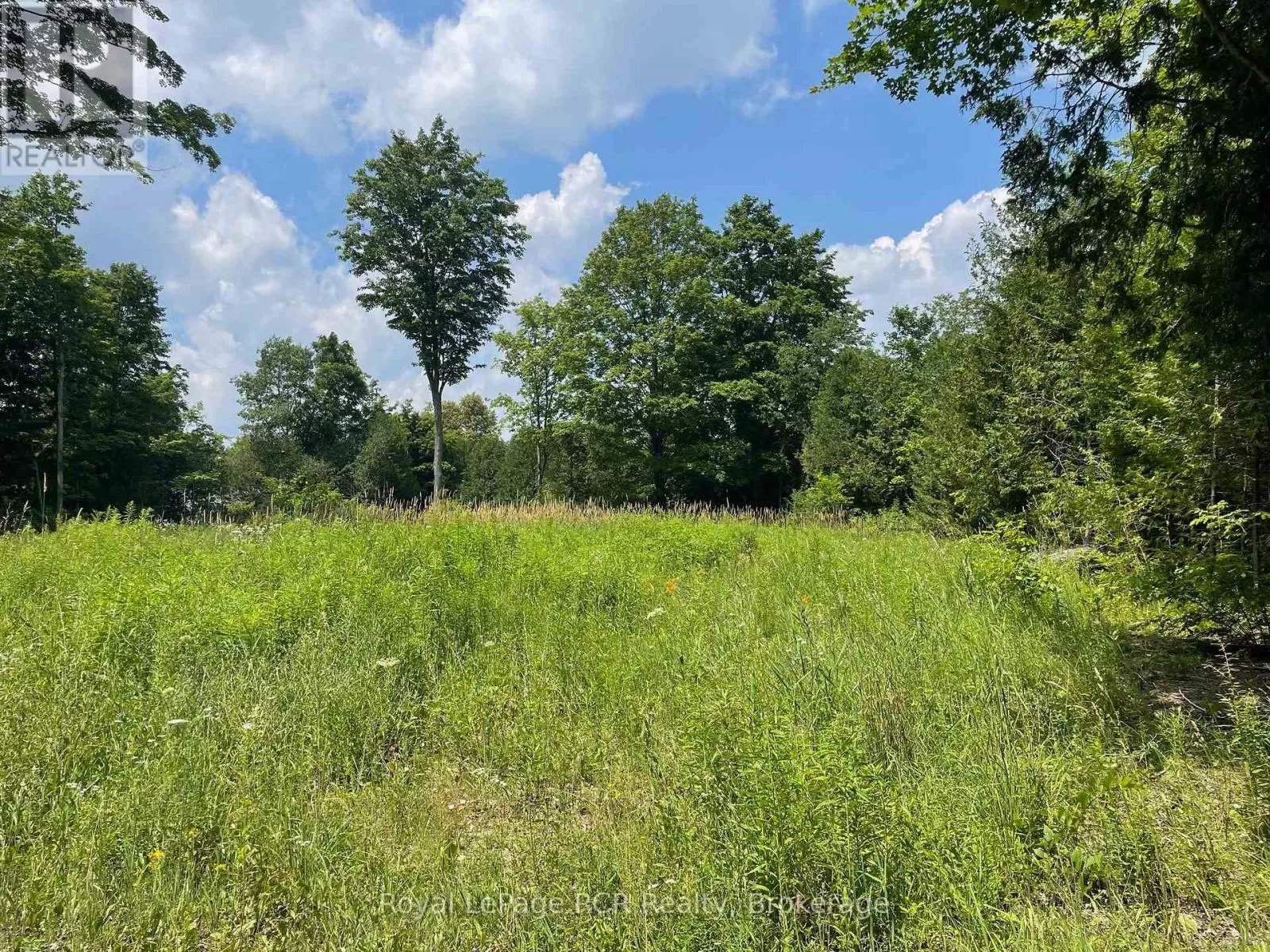 00000 Penny Lane, Grey Highlands, Ontario N0C 1E0