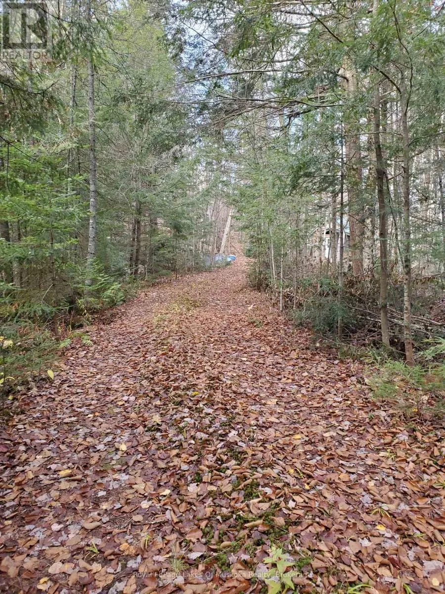 00000 Ril Lake Road, Lake of Bays, Ontario P0B 1A0