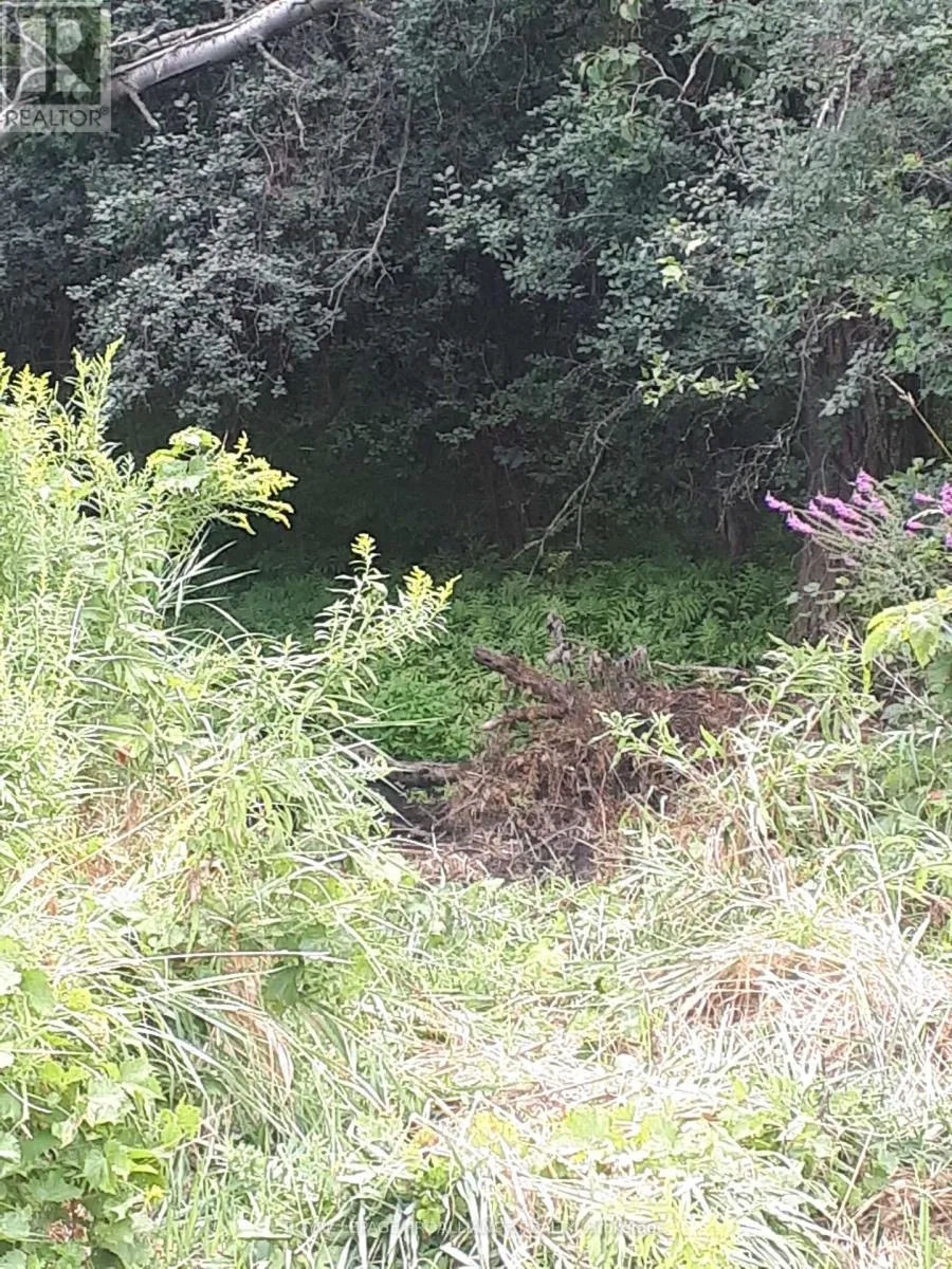 001 Lot 2 Conc 7, Port Hope, Ontario L0A 1B0