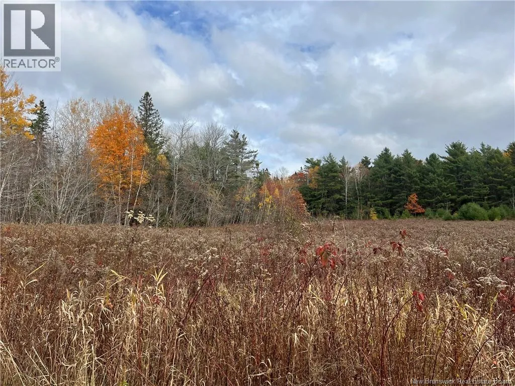 01 Hall Road, Mohannes, New Brunswick E3L 5V8