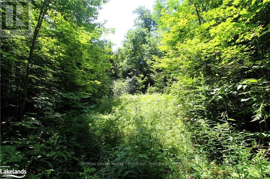 0a 20th Side Rd, Parry Sound Remote Area, Ontario P0H 1Y0