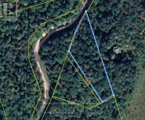 0a Reid Street, Trent Lakes, Ontario K0M 2A0