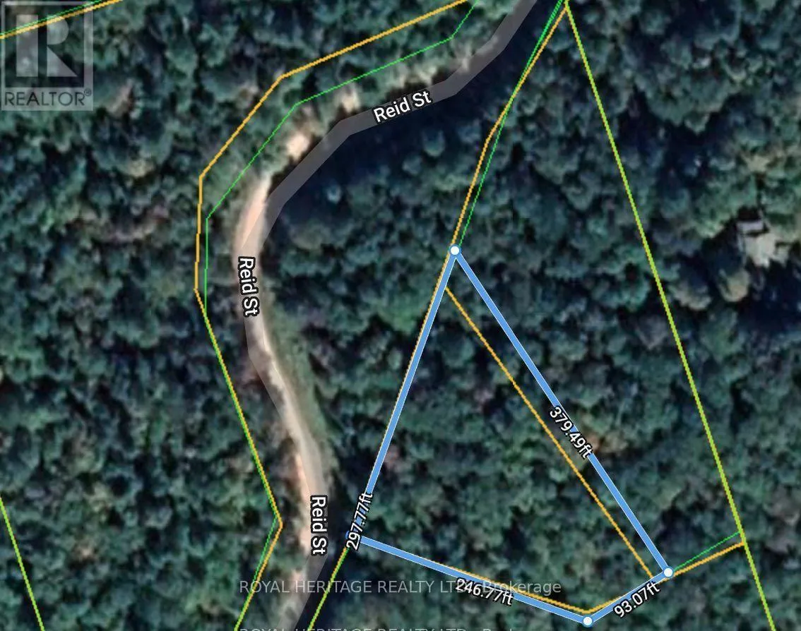 0b Reid Street, Trent Lakes, Ontario K0M 2A0