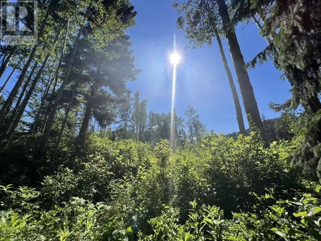 1 3000 Dahlie Road, Smithers, British Columbia V0J 2N4