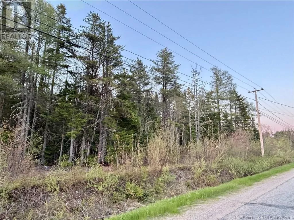 1 Acre Rte 455, Fairisle, New Brunswick E9G 2Y8