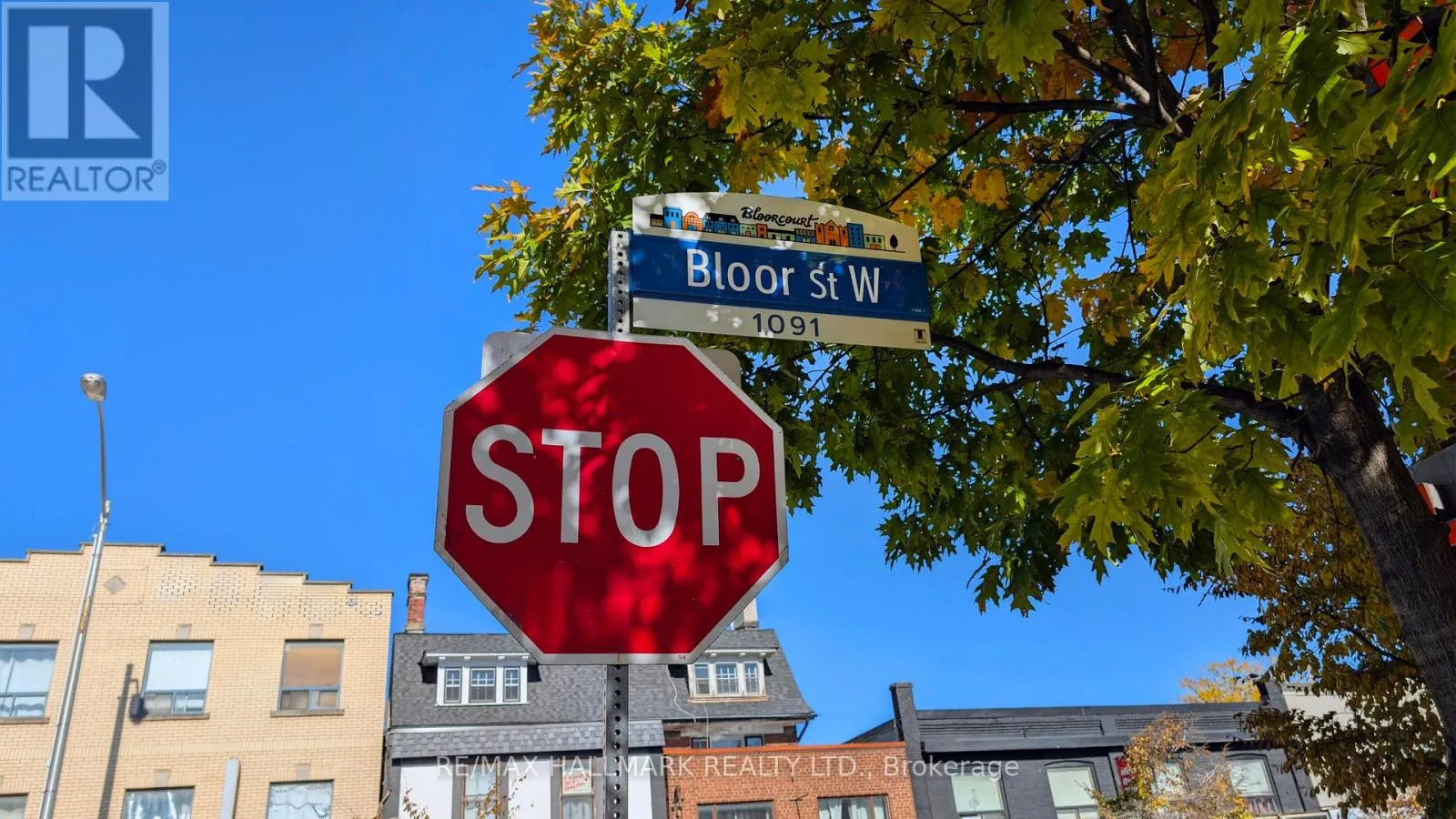 Triplex for rent: #1 Basement - 519 Gladstone Avenue, Toronto, Ontario M6H 3J1