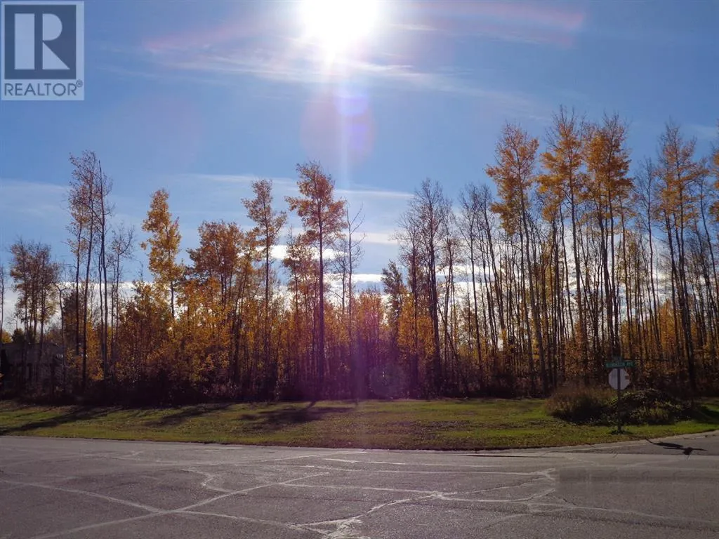 1 Boreal Crescent, High Level, Alberta T0H 1Z0