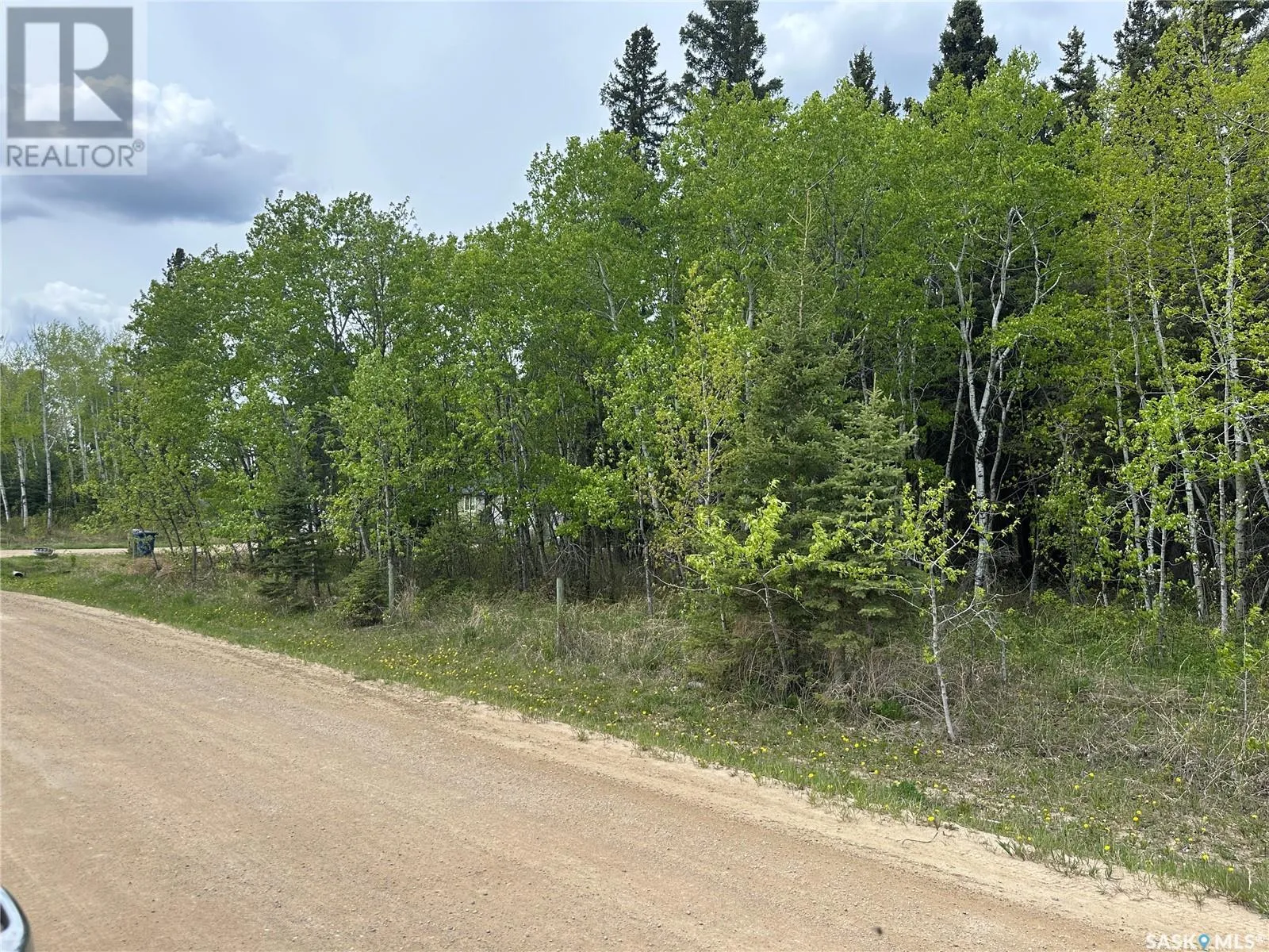 Unknown for rent: 1 George Street, Big River, Saskatchewan S0J 0E0