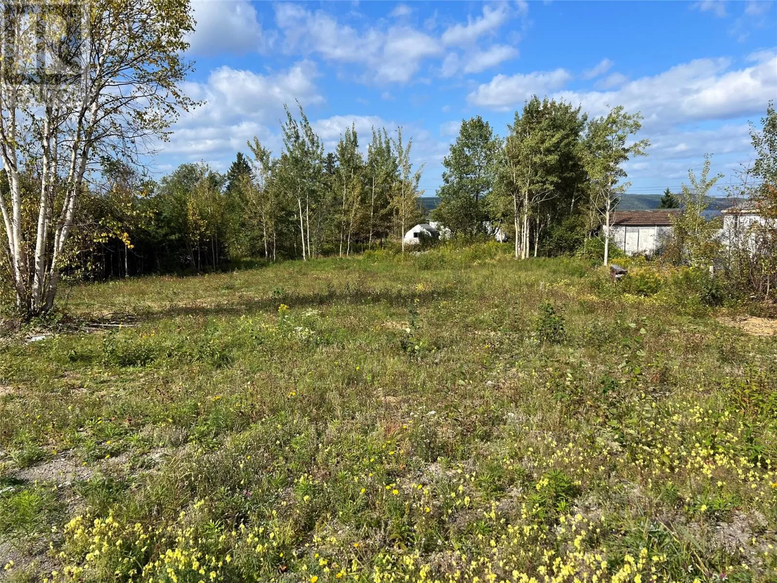 1 Hopkins Road, South Brook, Newfoundland & Labrador A0J 1S0