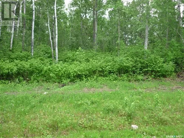 Unknown for rent: 1 Smits Avenue, Nipawin Rm No. 487, Saskatchewan S0E 0P0