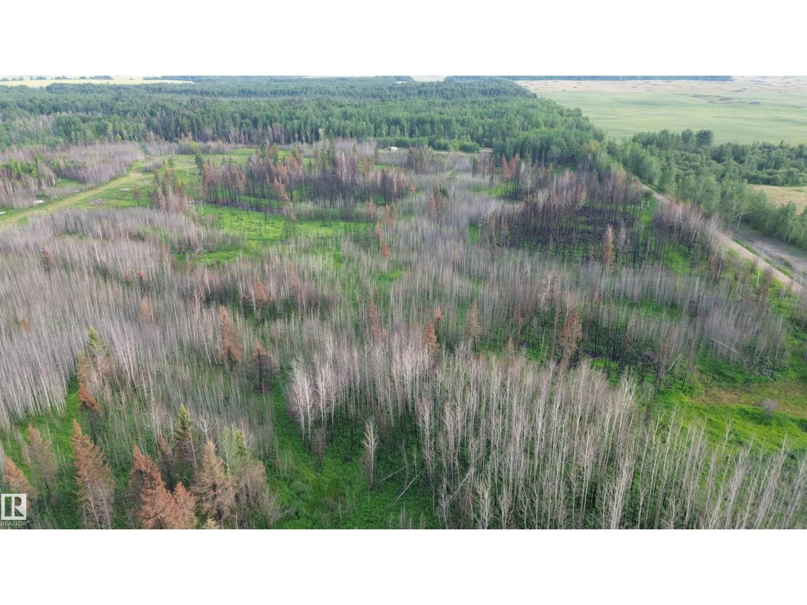 No Building for rent: #1 Twp 630 Rr 26, Rural Westlock County, Alberta T0G 0S0