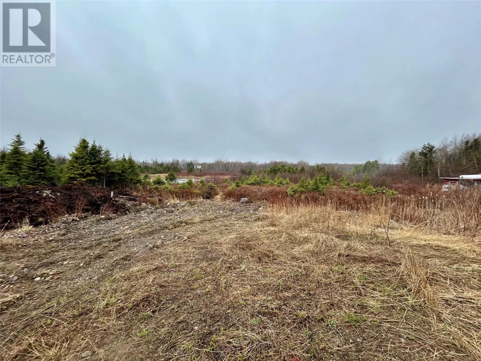 10 Kingston Road, Grand Falls-Windsor, Newfoundland & Labrador A2B 1E3