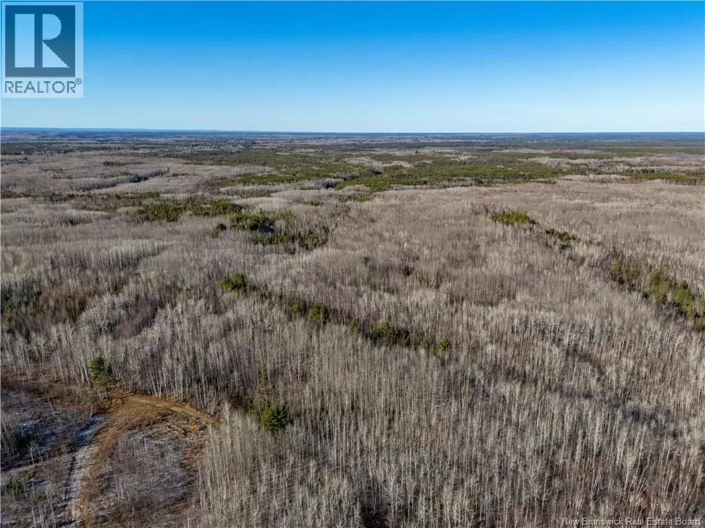 100 Acres Mckinnon Road, Miramichi, New Brunswick E1V 5Y1