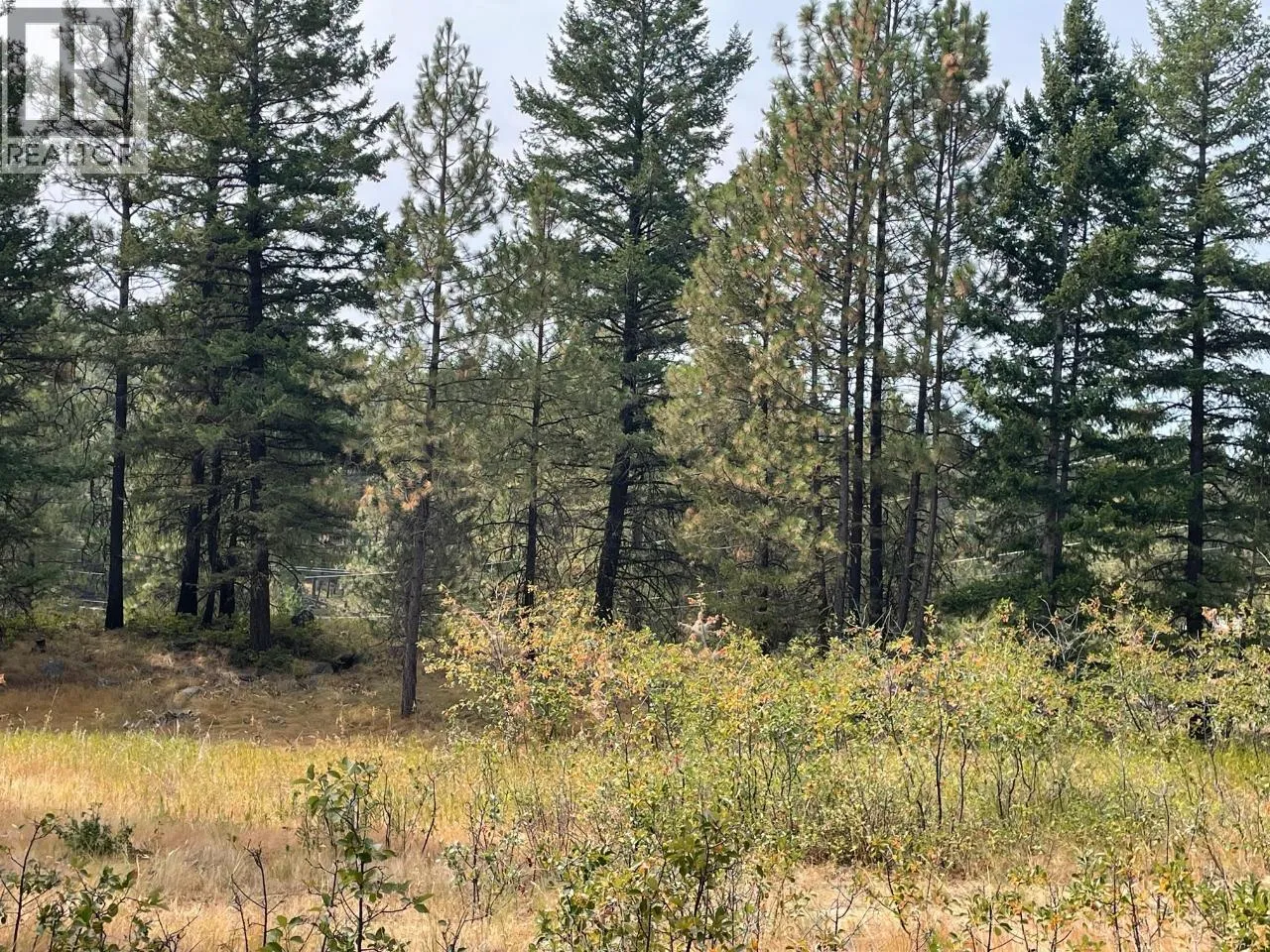 Other for rent: 100 Cougar Court, Osoyoos, British Columbia V0H 1V6