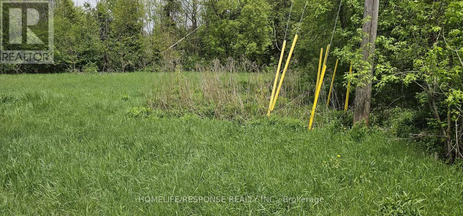 100 Dowler Street, Guelph/Eramosa, Ontario N0B 2K0