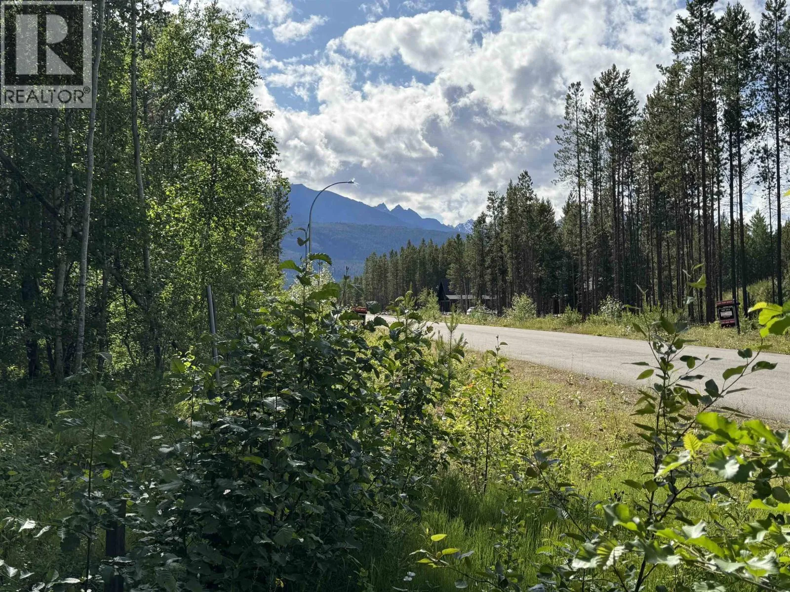 1015 18th Avenue, Valemount, British Columbia V0E 2Z0