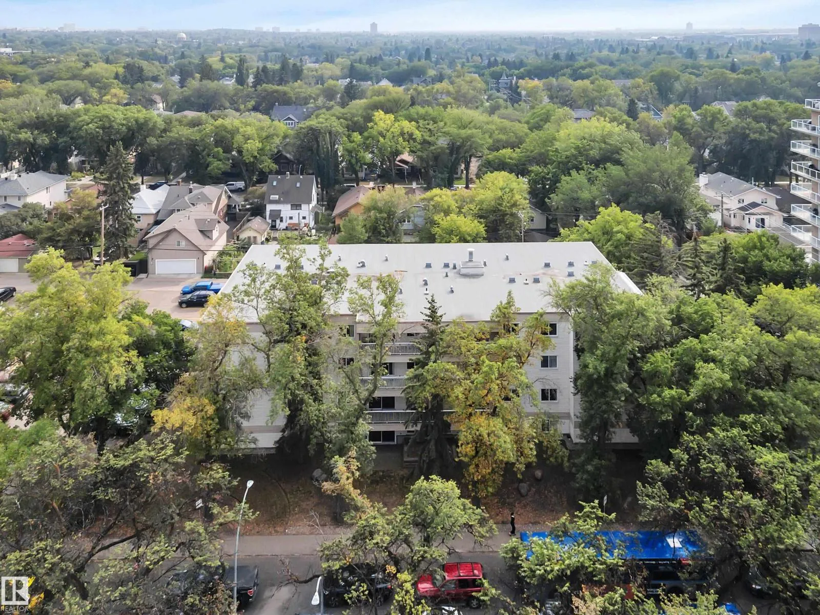 Apartment for rent: #102 8149 111 St Nw, Edmonton, Alberta T6G 2P1