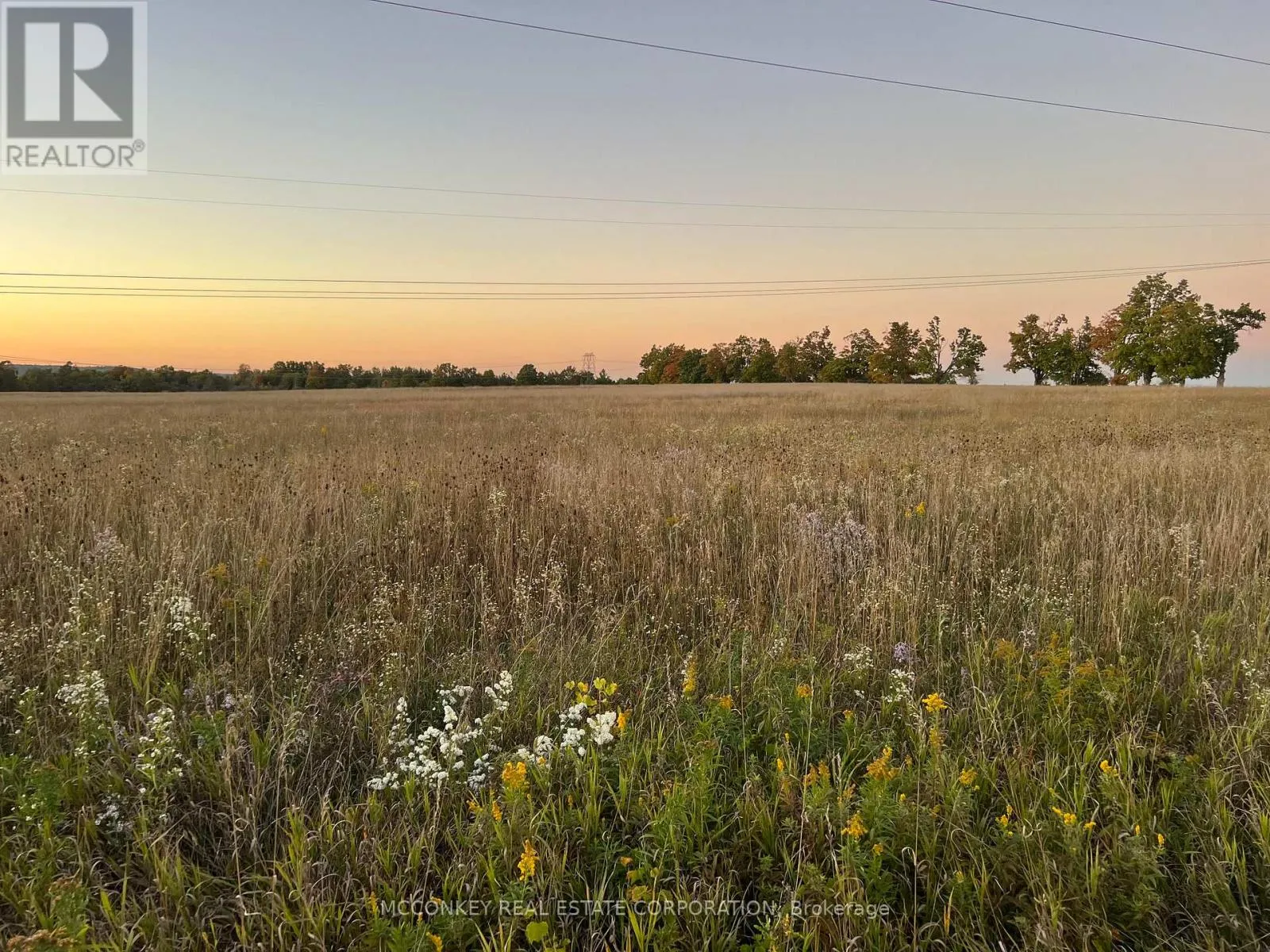 1020 Larmer Line, Cavan Monaghan, Ontario K0L 1V0