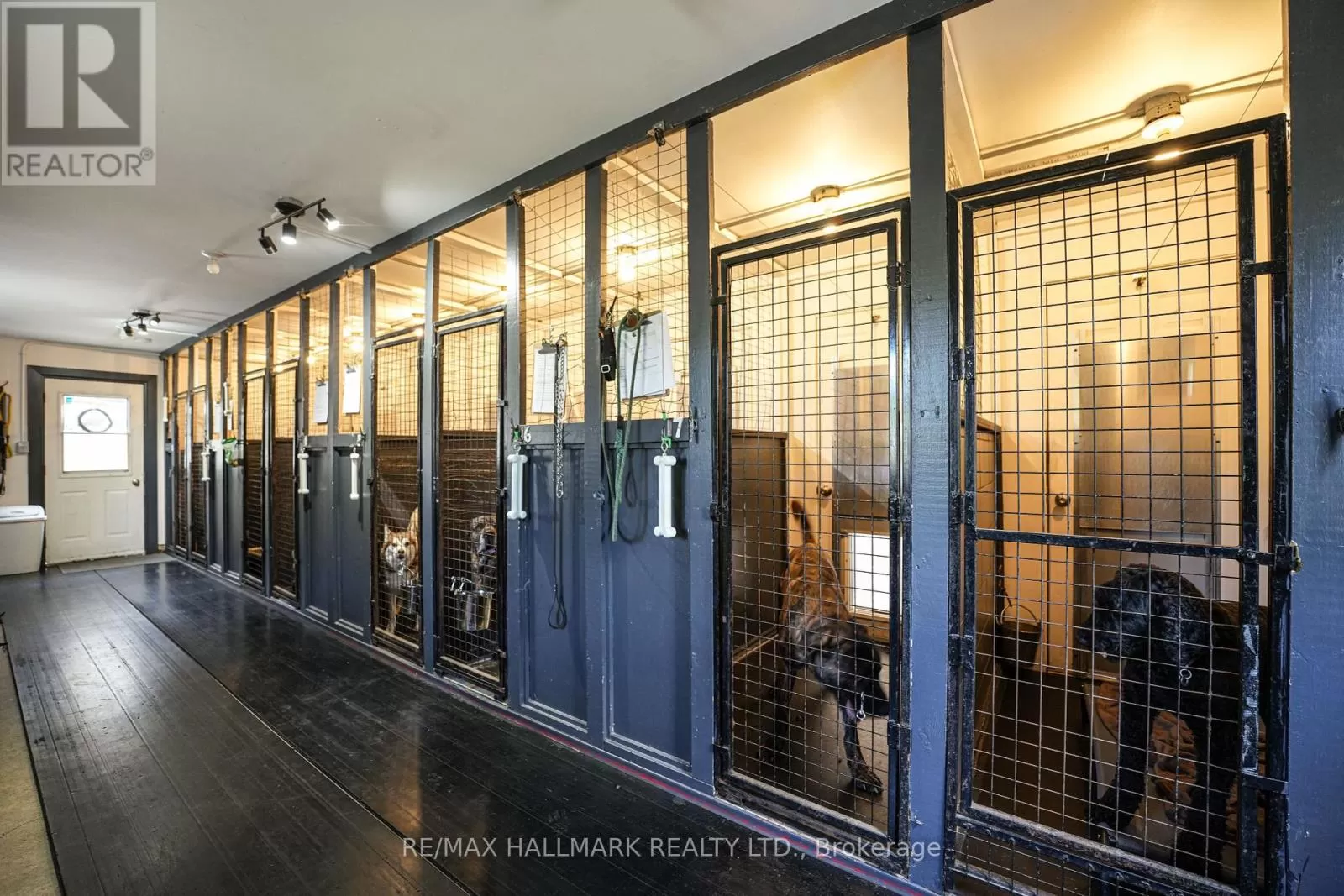 10246 Old Shiloh Road, Georgina, Ontario L0E 1N0