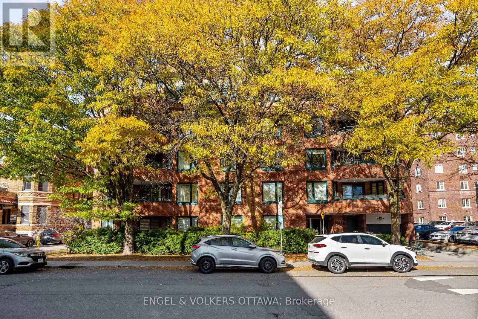 Apartment for rent: 103 - 295 Gilmour Street, Ottawa, Ontario K2P 0P7