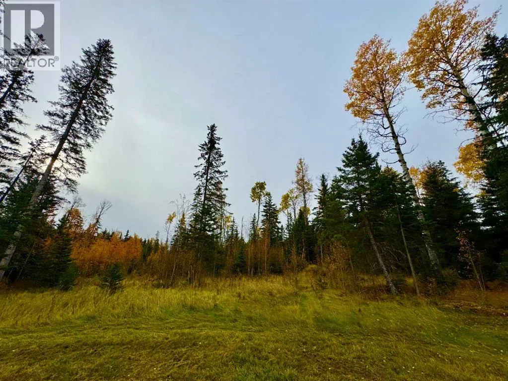 103 Meadow Ponds Drive, Rural Clearwater County, Alberta T4T 1A7