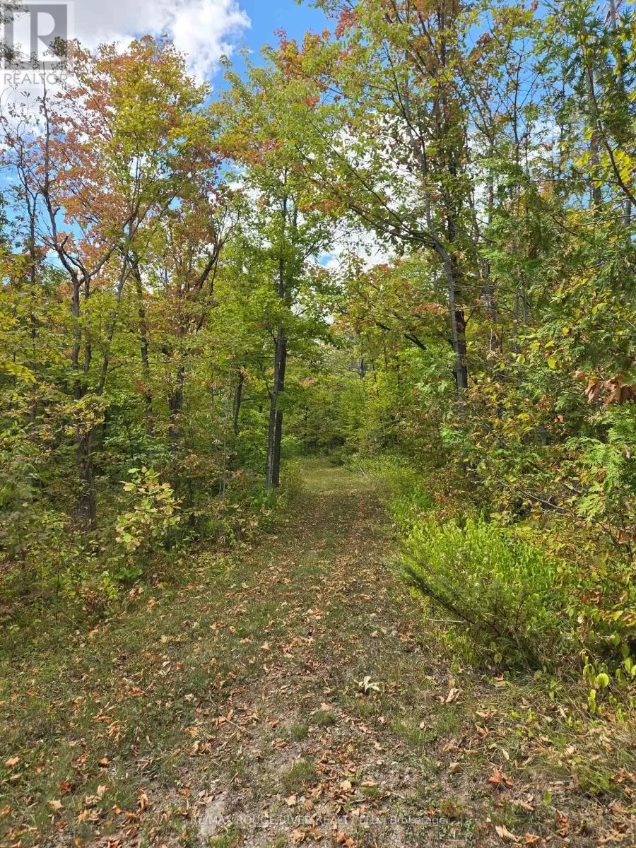 103080 Highway 7 Highway E, Marmora and Lake, Ontario K0K 2M0