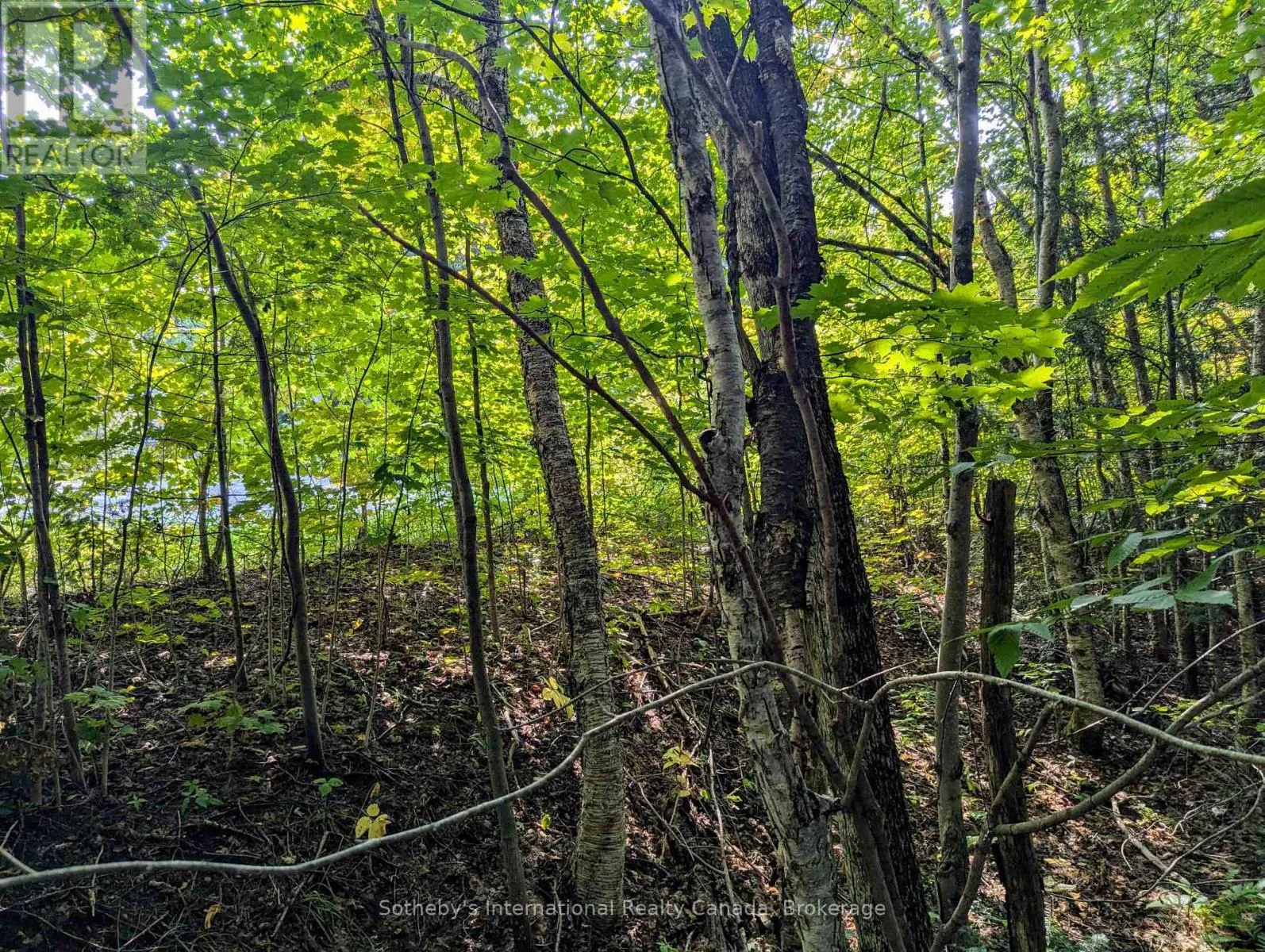 1031 Haven Road, Bracebridge, Ontario P1L 1X1