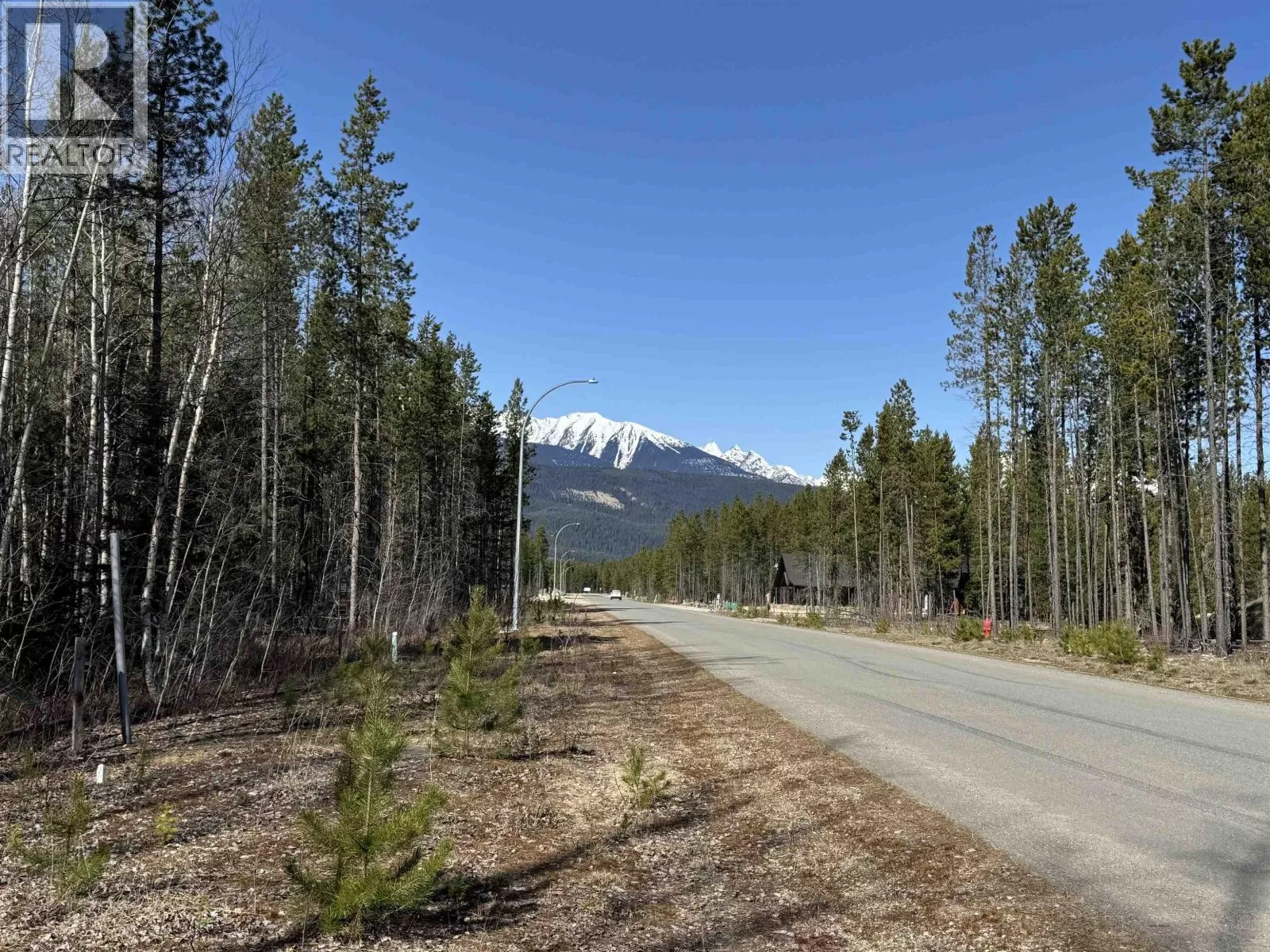 1035 18th Avenue, Valemount, British Columbia V0E 2Z0