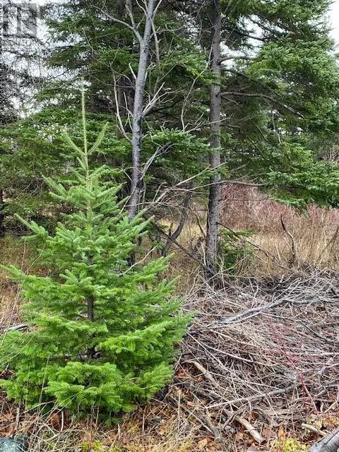 104-108 Highway East, Victoria, Newfoundland & Labrador A0A 4G0