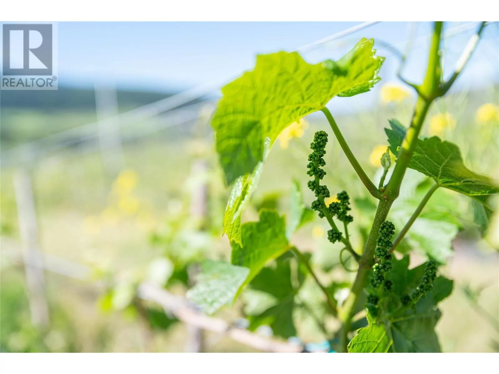 Other for rent: 10450 Matner Lane, Coldstream, British Columbia V1B 2J7