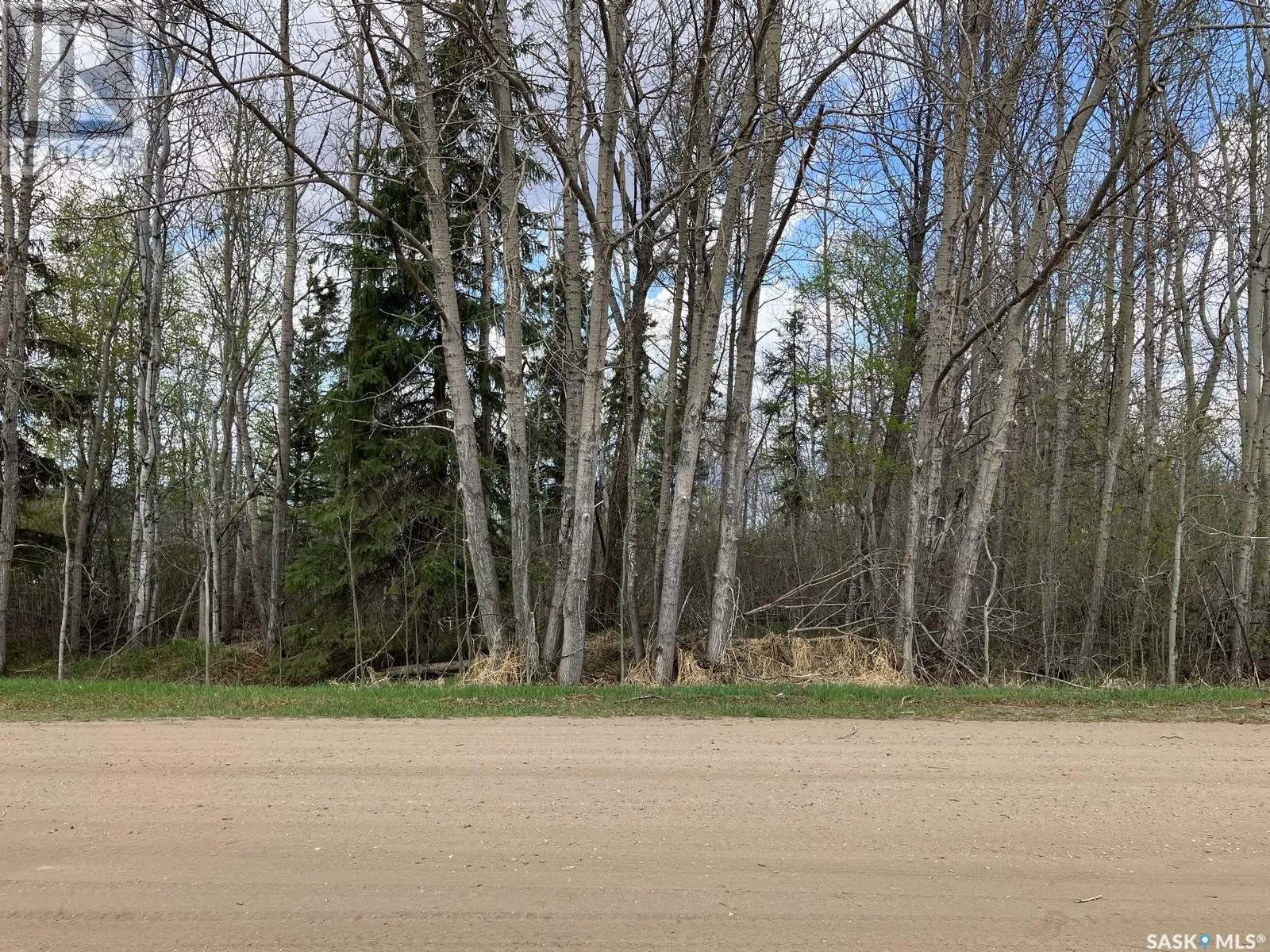 105 W Spruce Avenue, Nipawin, Saskatchewan S0E 1E0