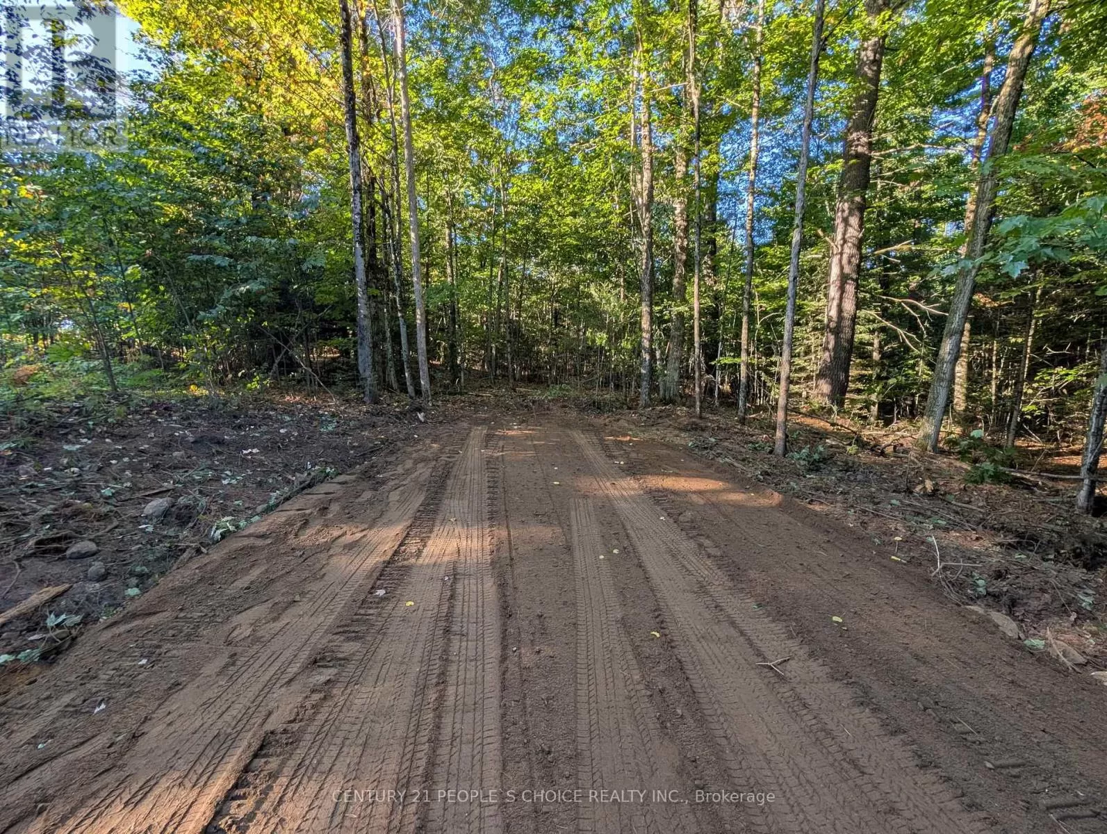 1055 Porkys Road, Minden Hills, Ontario K0M 2K0