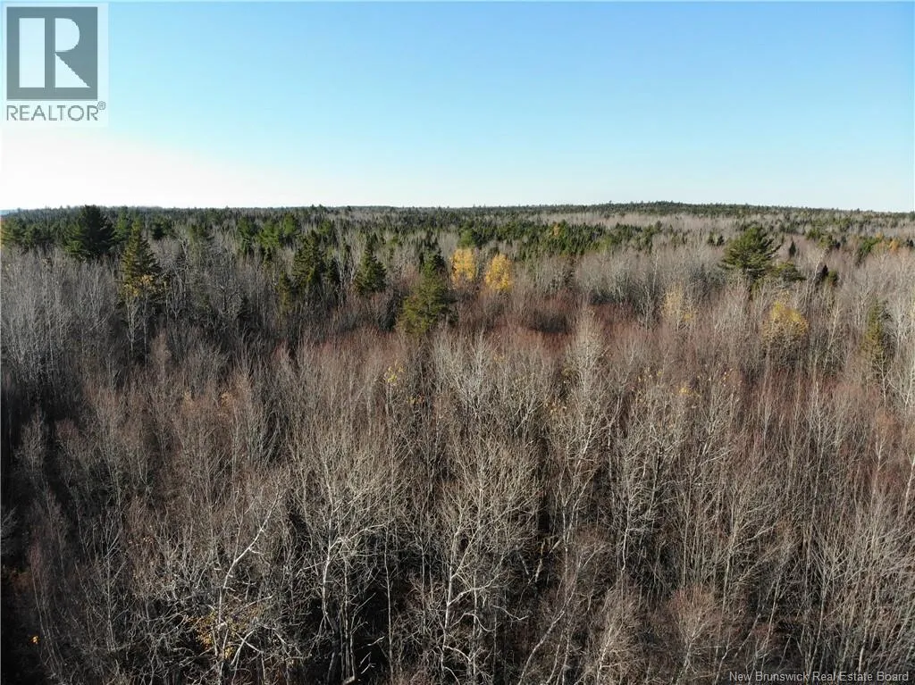 10552 Route 10, Youngs Cove, New Brunswick E4C 2E2