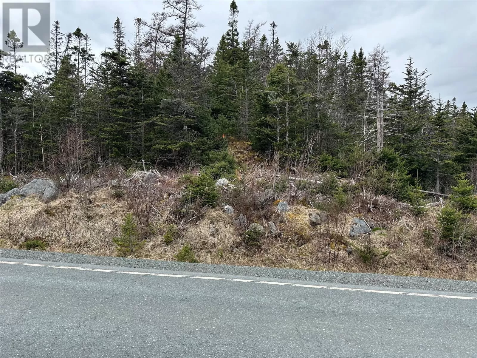 106 Liam Hickey Drive, Holyrood, Newfoundland & Labrador A0A 2R0