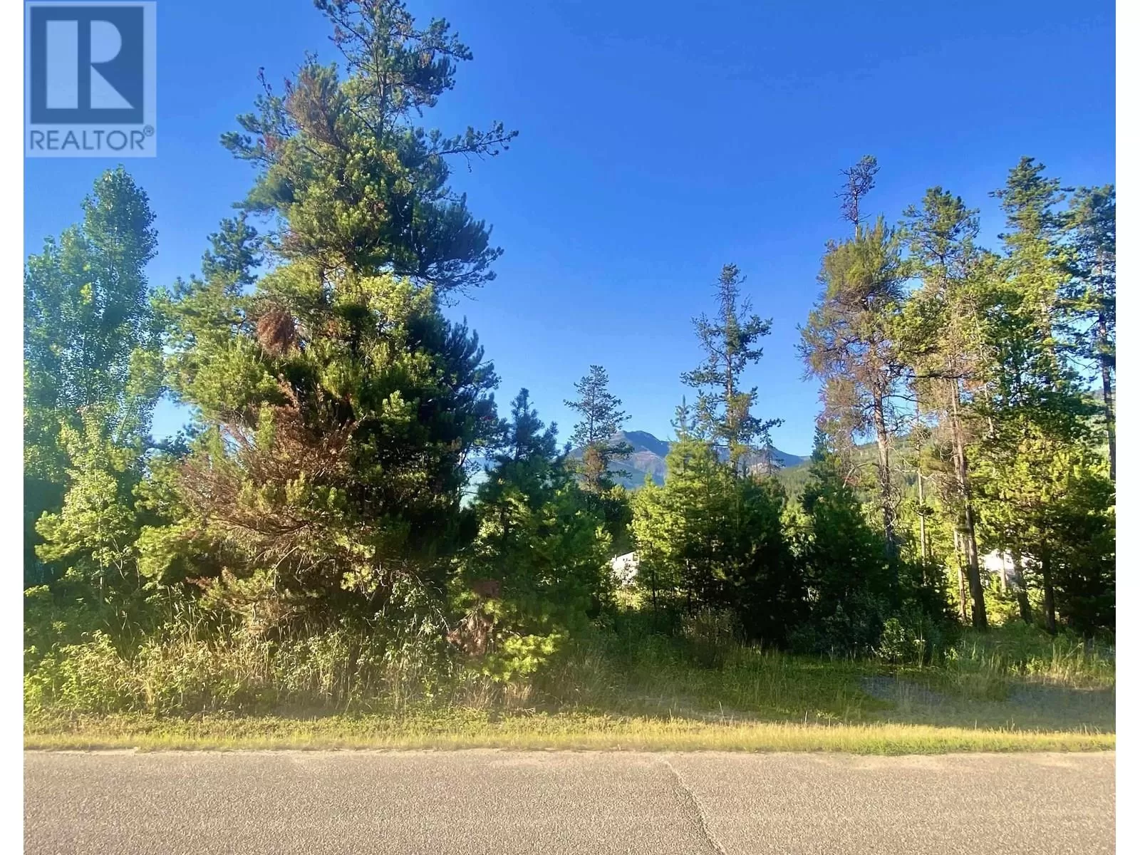 1060 6th Avenue, Valemount, British Columbia V0E 2Z0