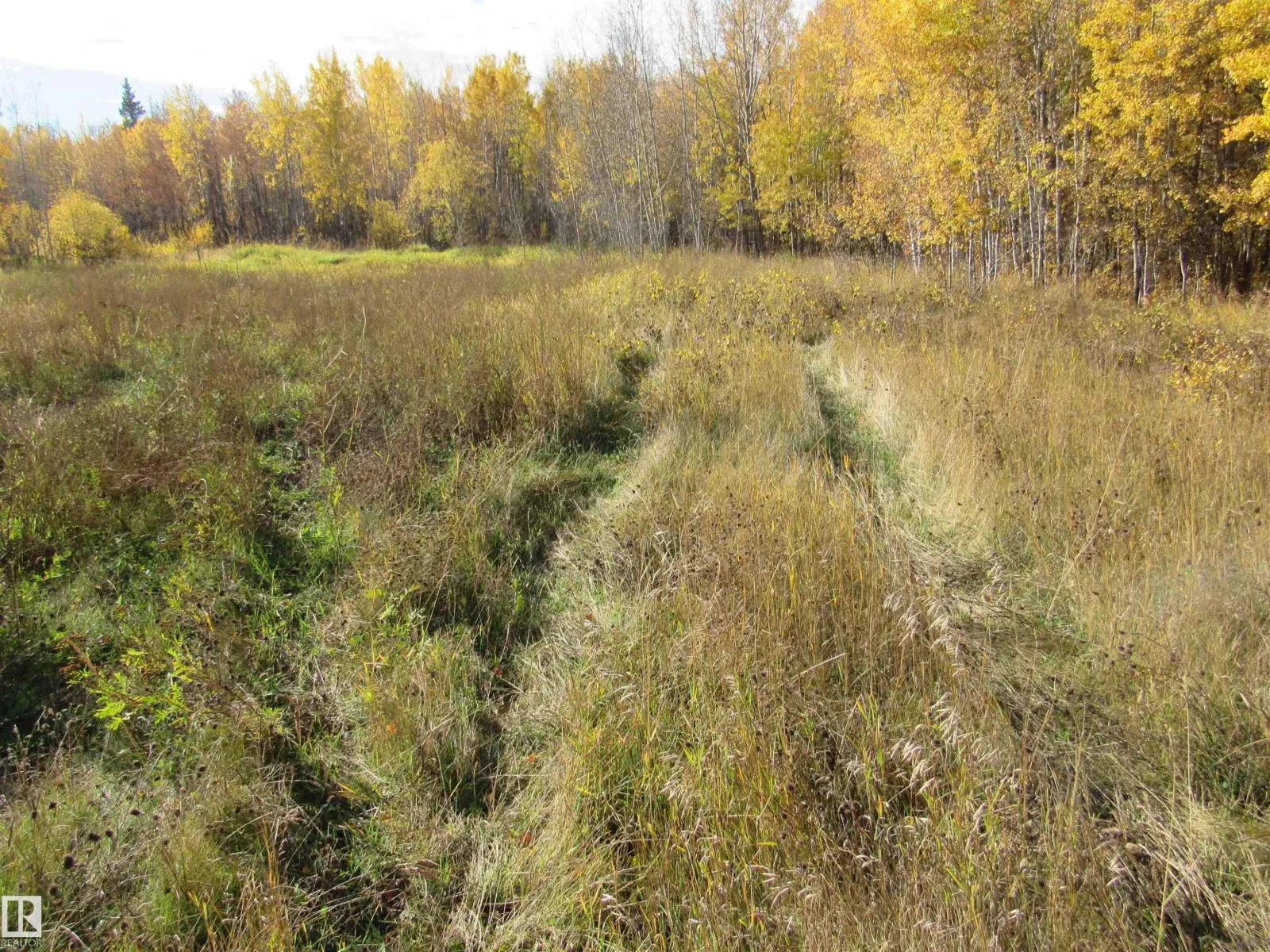 No Building for rent: 107 - 2529 Hwy 651, Rural Barrhead County, Alberta T0E 1A0