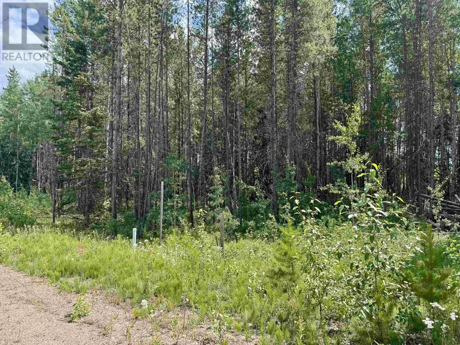 1075 18th Avenue, Valemount, British Columbia V0E 2Z0