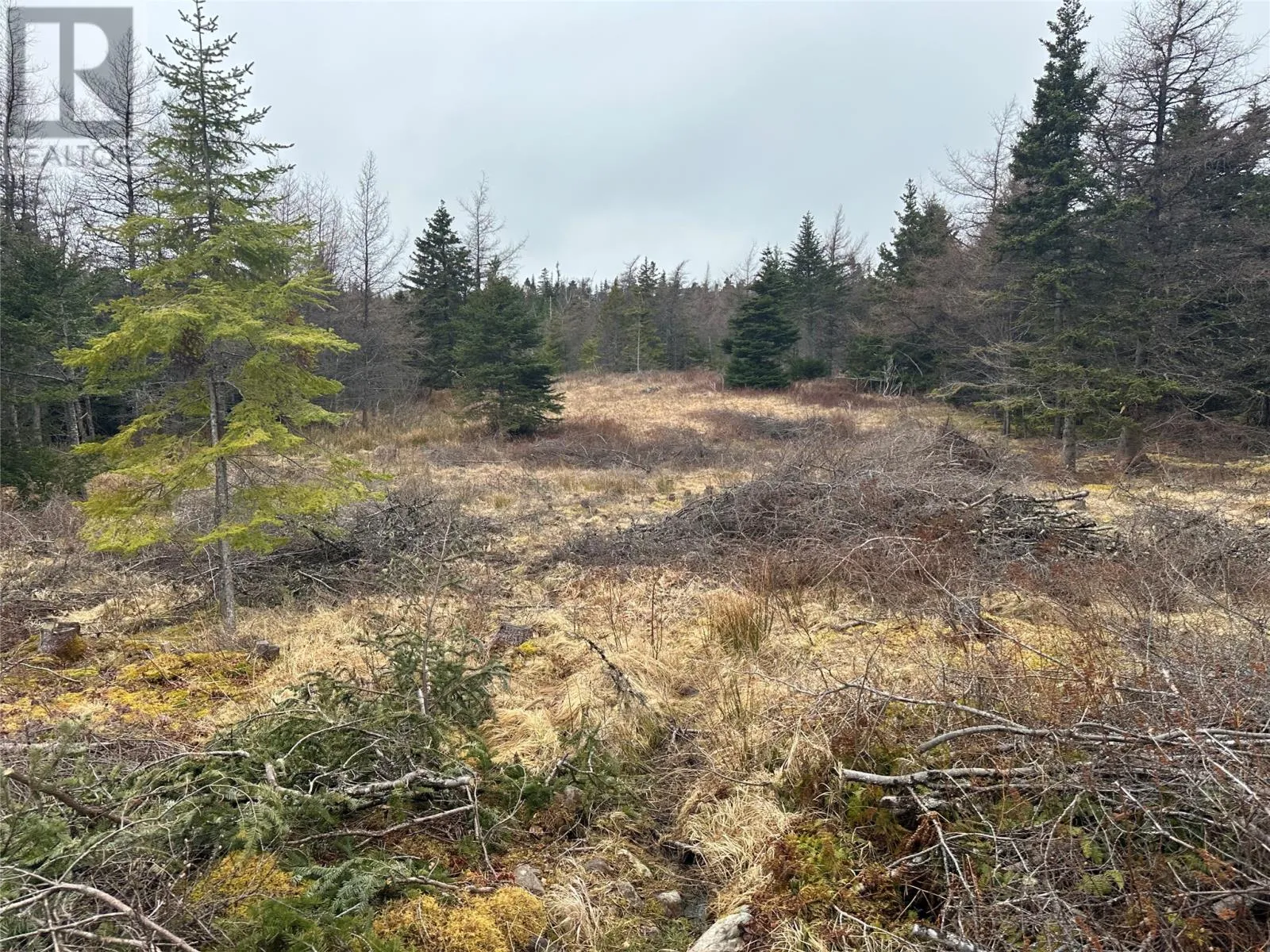 11 North Side Road, Holyrood, Newfoundland & Labrador A0A 2R0