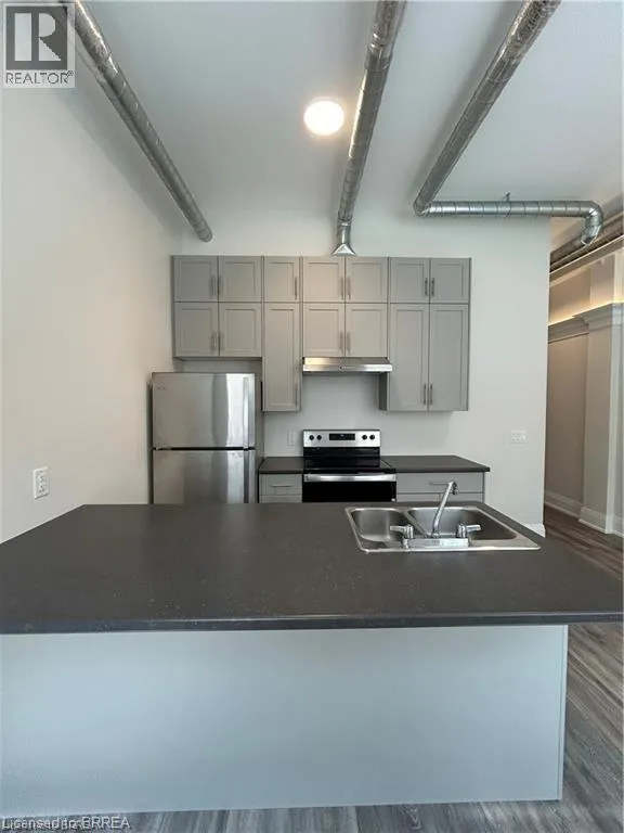 Apartment for rent: 11 Queen Street Unit# 206, Brantford, Ontario N3T 3B1